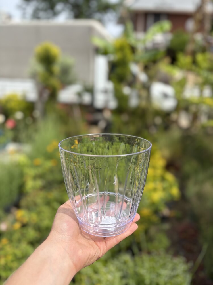 Serinova plastik 1.5 lt orkide saksısı 