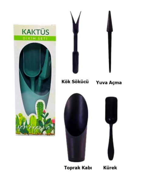Kaktüs dikim seti 