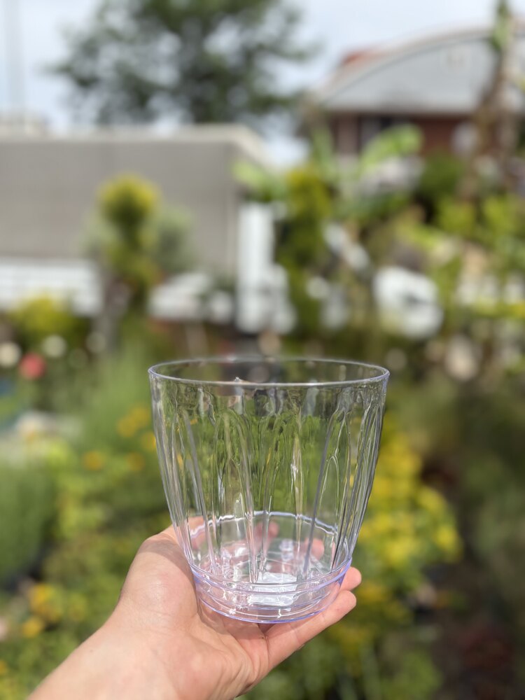 Serinova plastik 1.5 lt orkide saksısı 