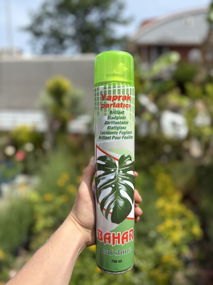 Bahar yaprak parlatıcı 750 ml 