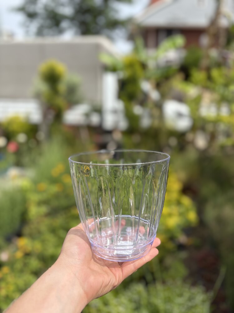 Serinova plastik 1.5 lt orkide saksısı 