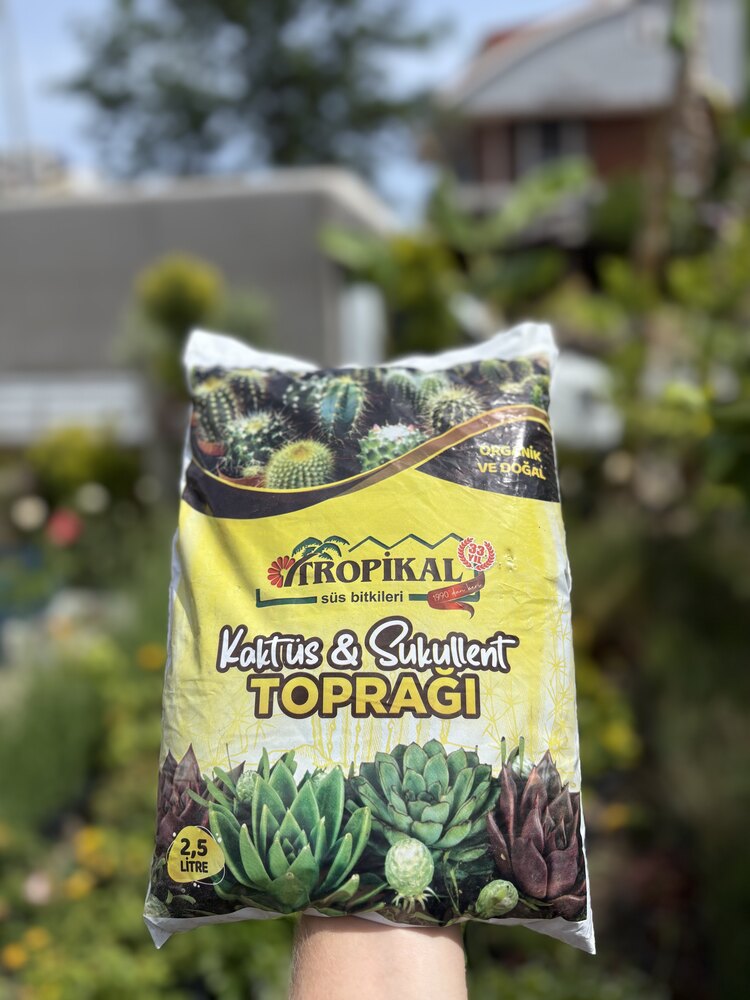 Tropikal kaktüs Sukulent toprağı 