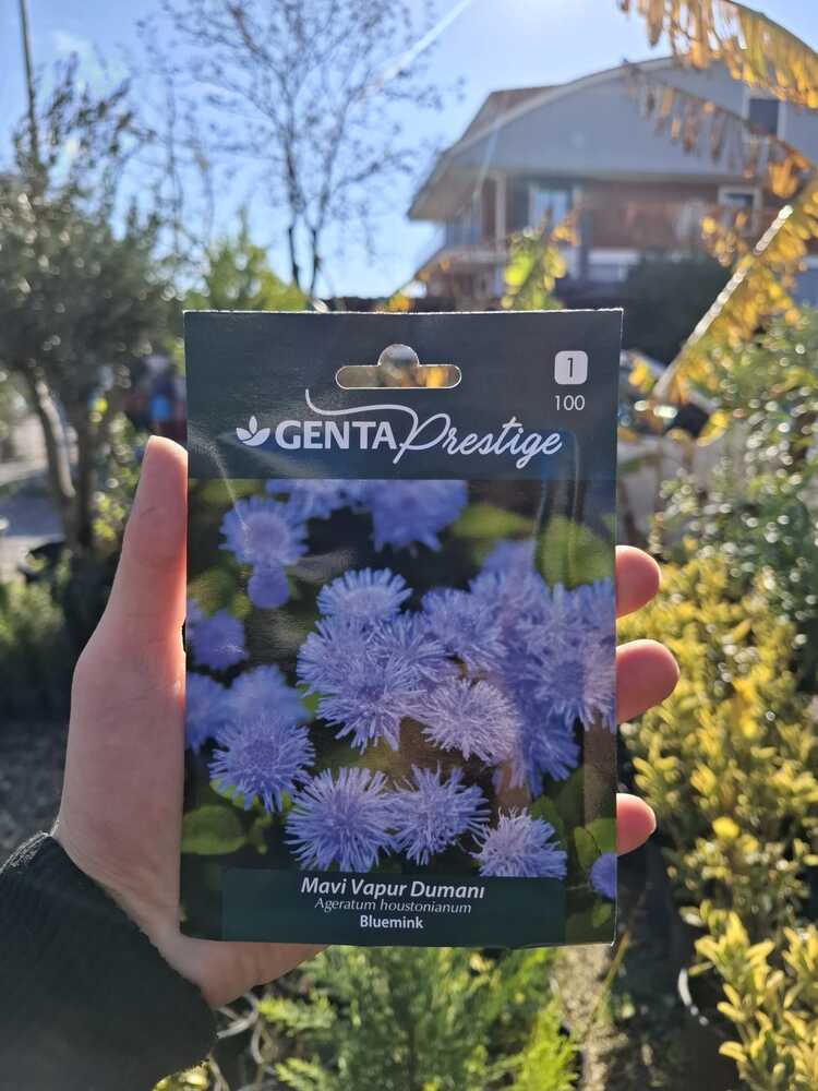 Genta prestige mavi vapur dumanı tohumu
