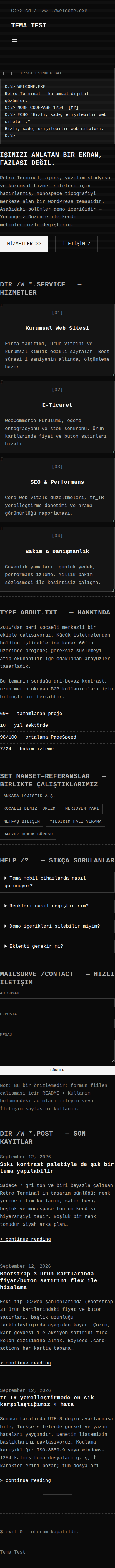 Retro Terminal Teması