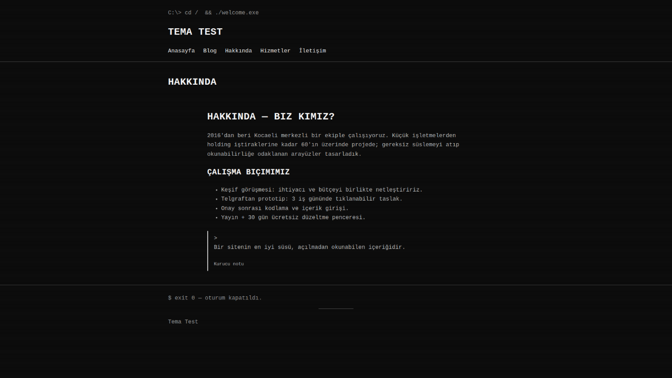 Retro Terminal Teması