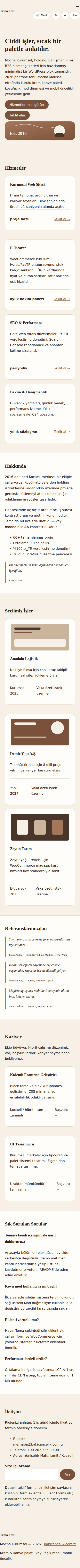 Mocha Kurumsal Teması