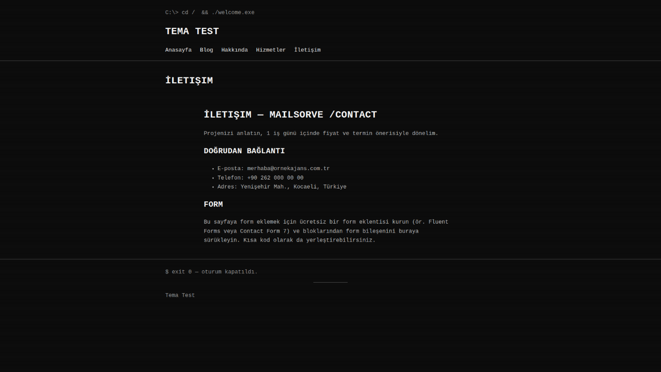 Retro Terminal Teması