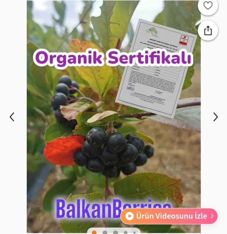 Organik Aronya Meyvesi1 Kg.