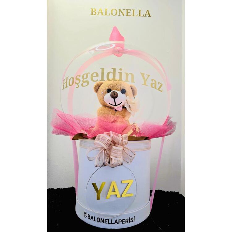 Hoşgeldin Bebek