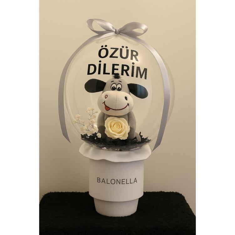 Özür Dilerim Balonu
