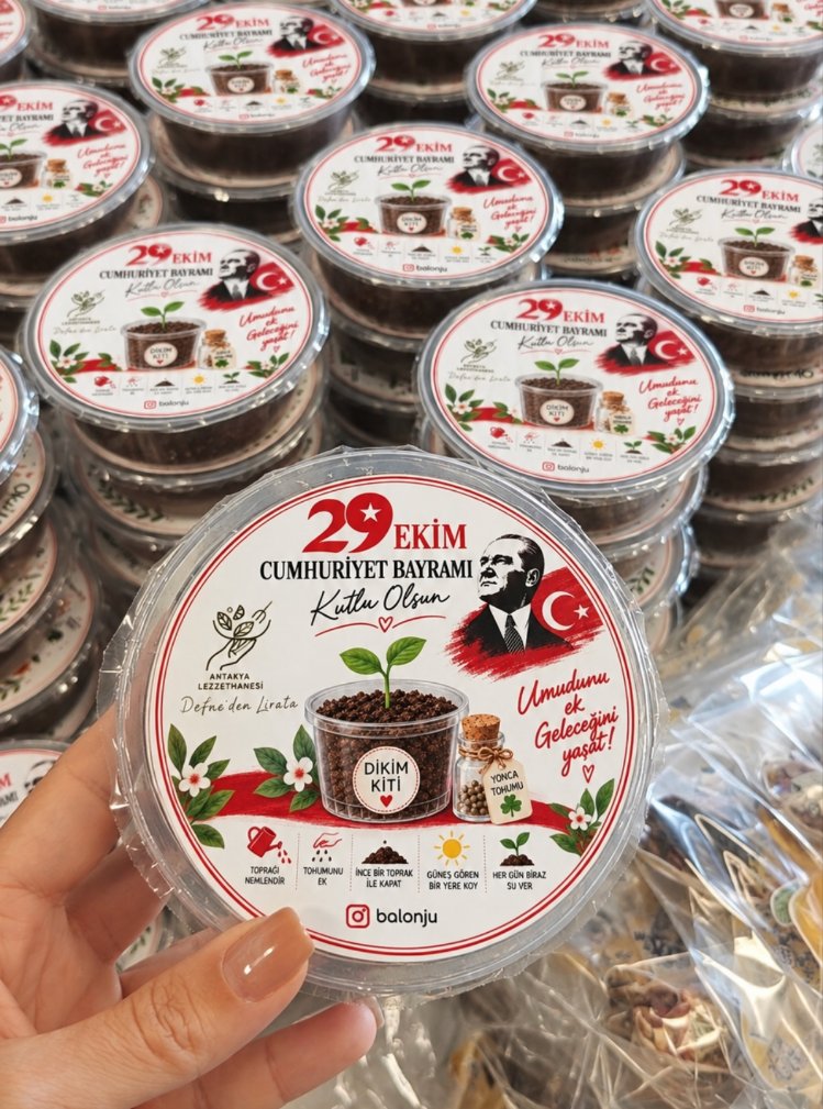 29 Ekim Dikim Kiti