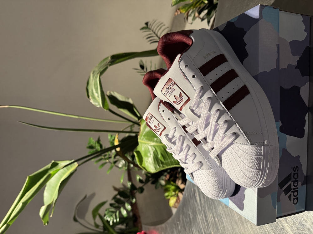 Adidas Superstar Bordo