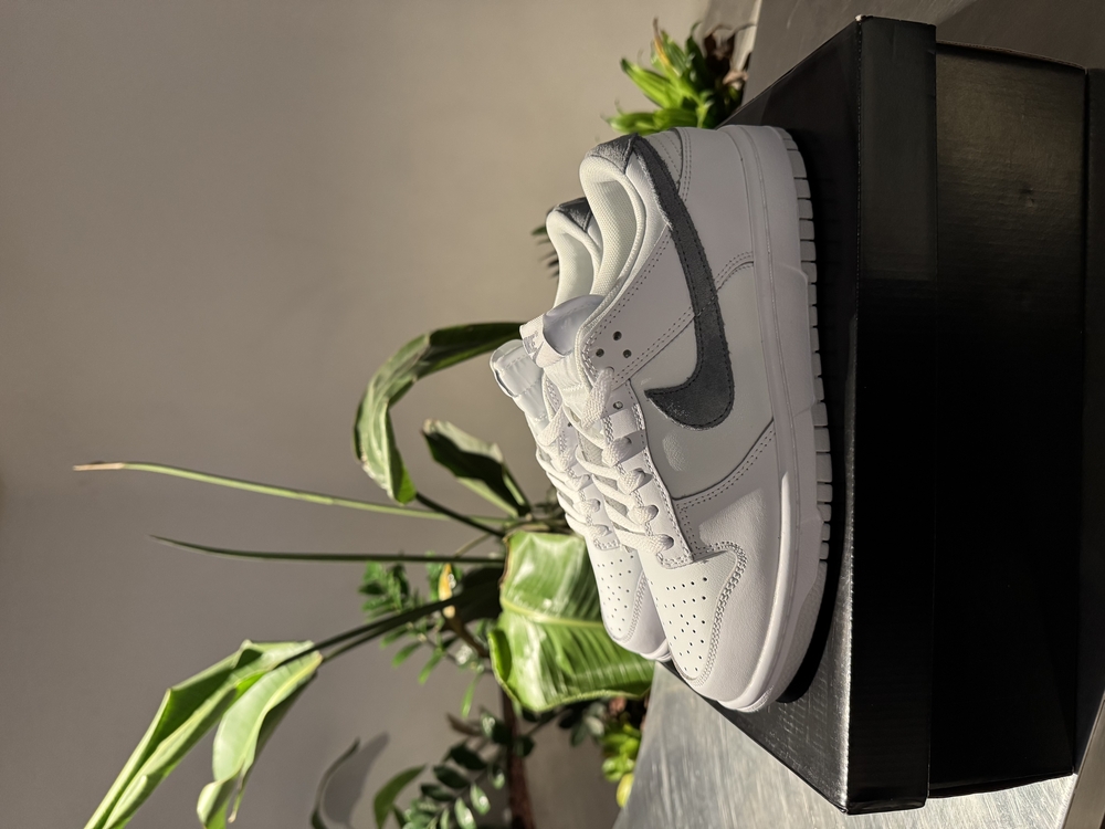 Dunk Low Ashen Slate