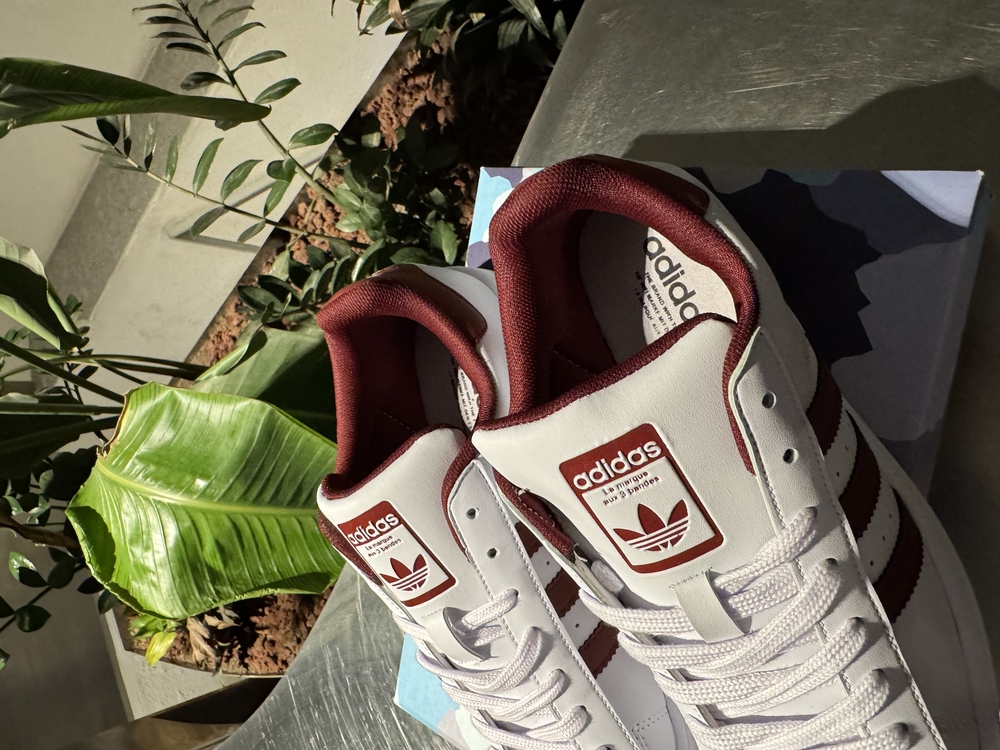 Adidas Superstar Bordo