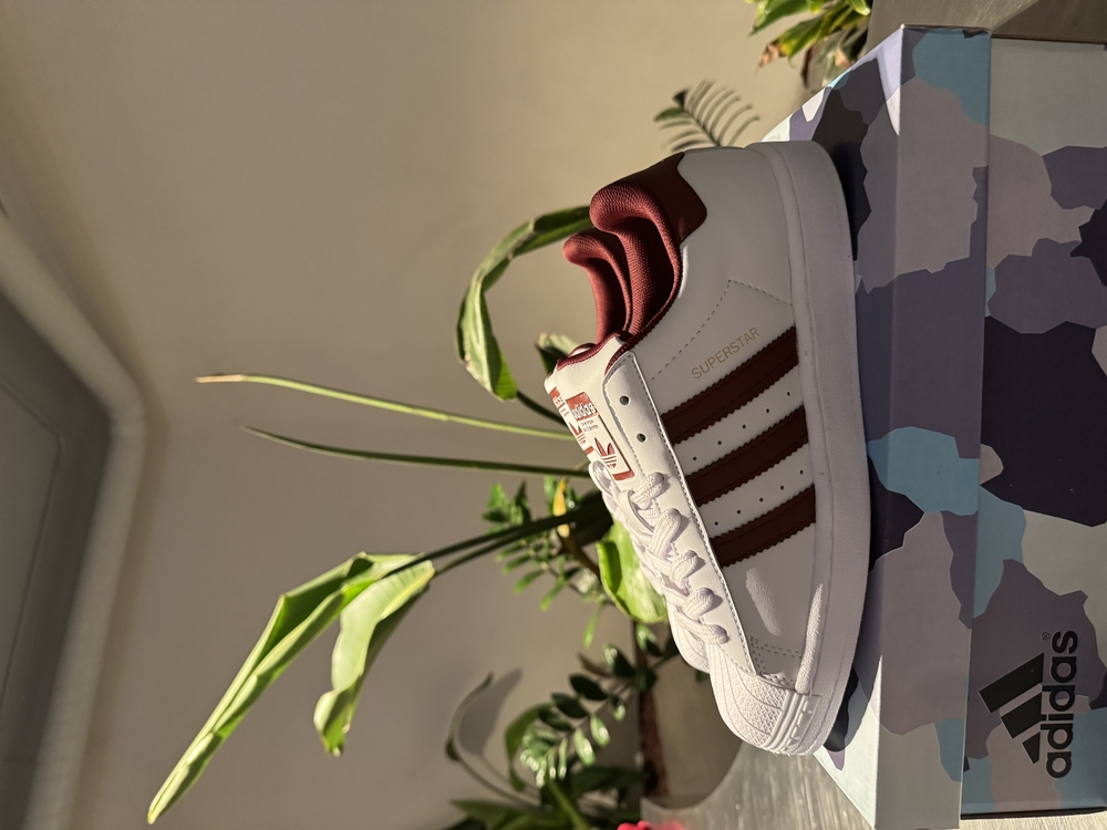 Adidas Superstar Bordo