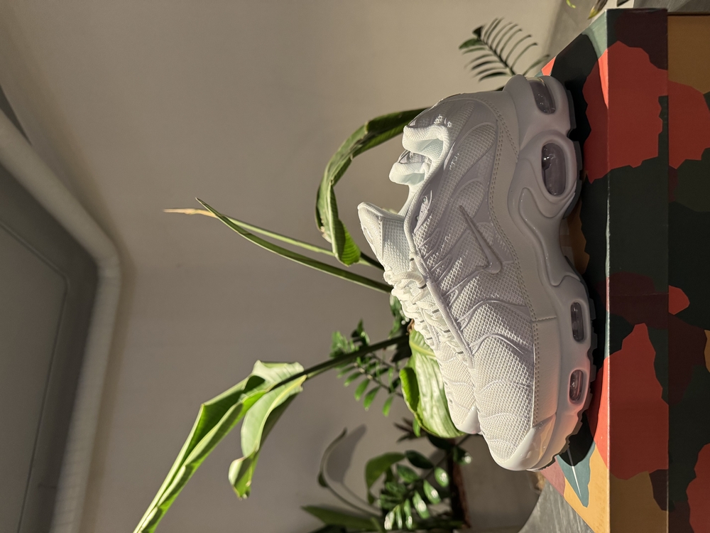 Air Max Plus Tn Beyaz