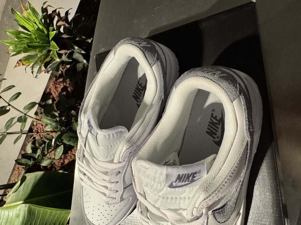 Dunk Low Ashen Slate