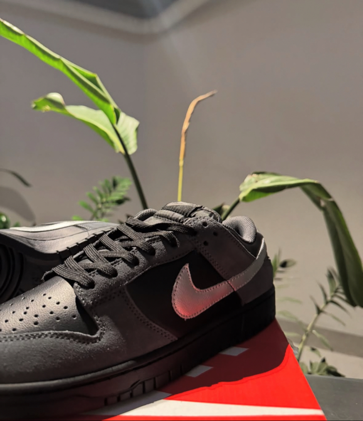 Dunk Low Anthracite