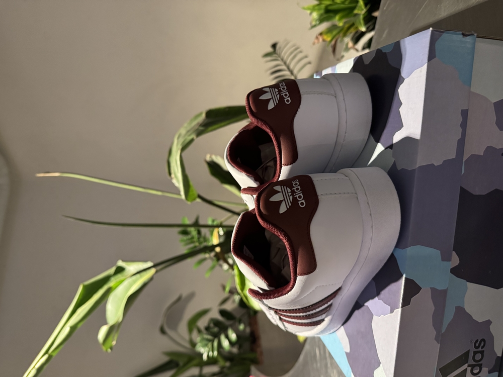 Adidas Superstar Bordo