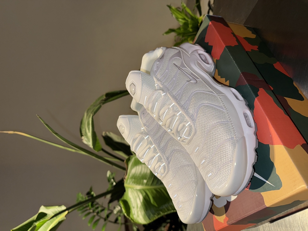 Air Max Plus Tn Beyaz