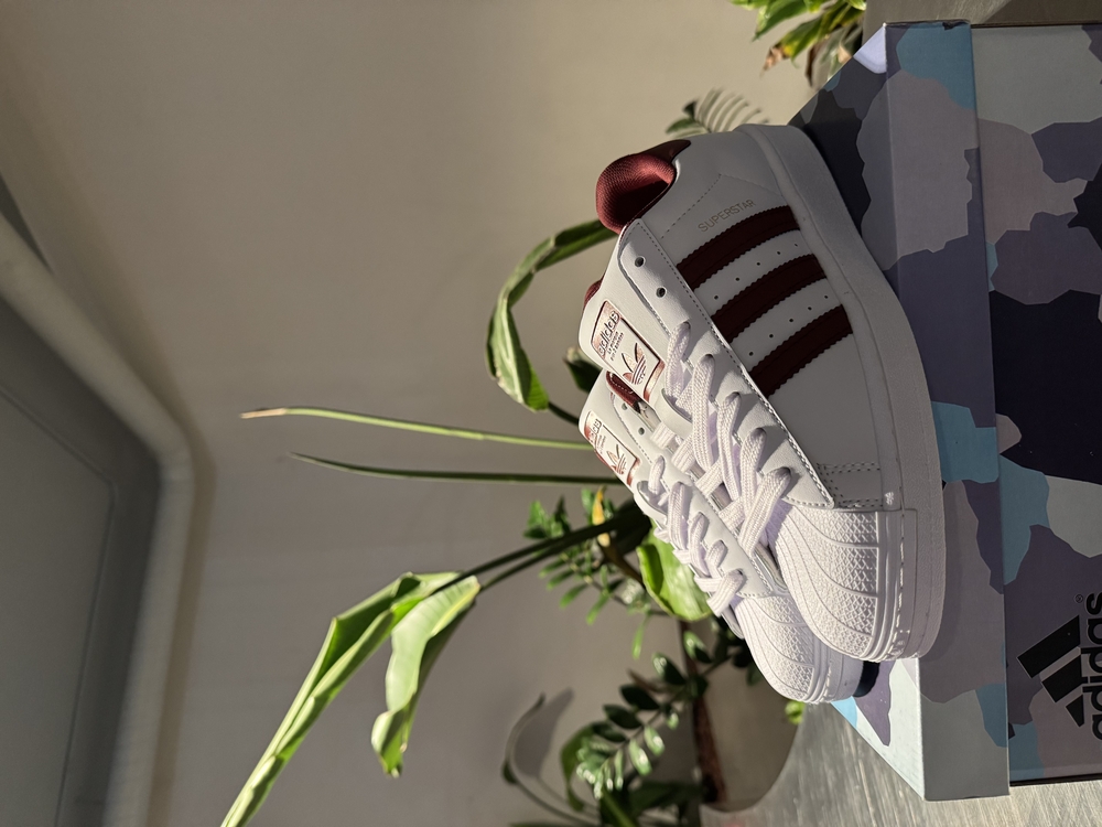 Adidas Superstar Bordo