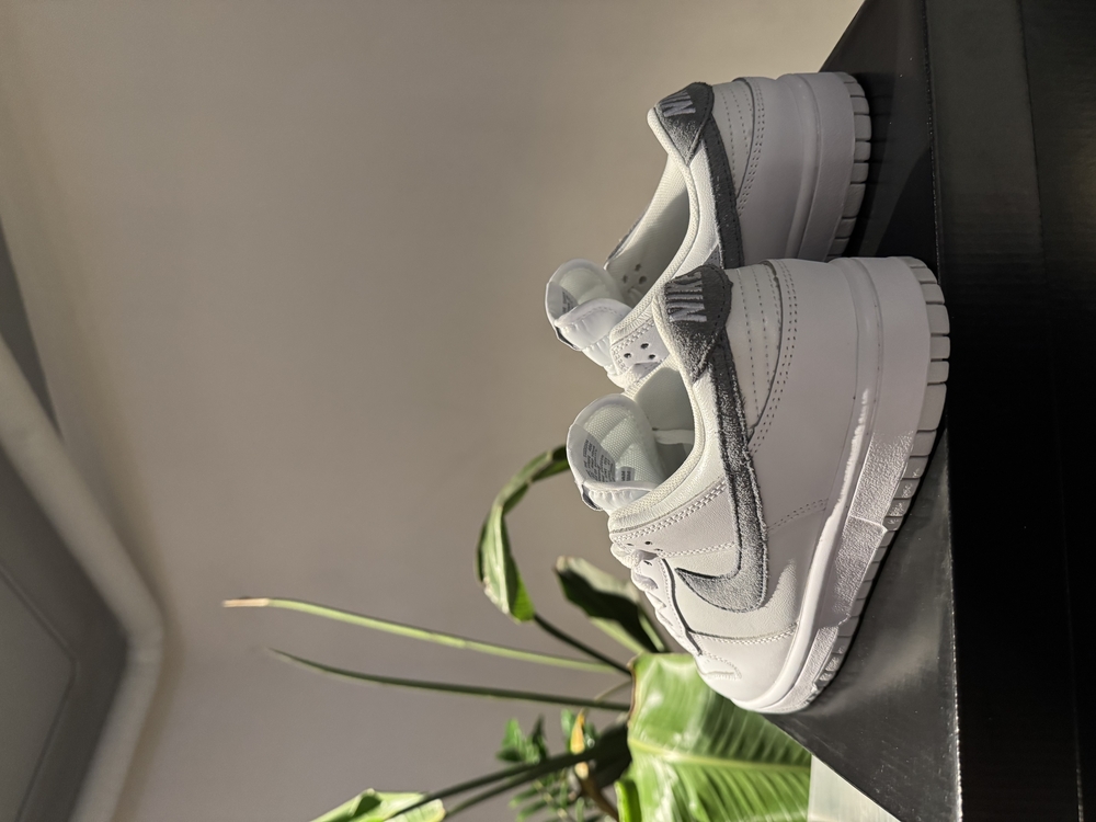 Dunk Low Ashen Slate