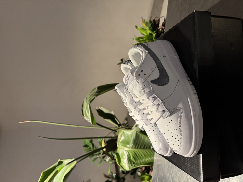 Dunk Low Ashen Slate