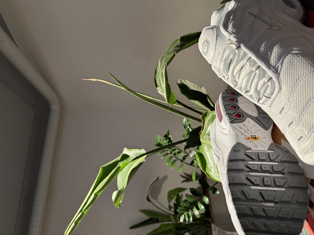 Air Max Plus Tn Beyaz