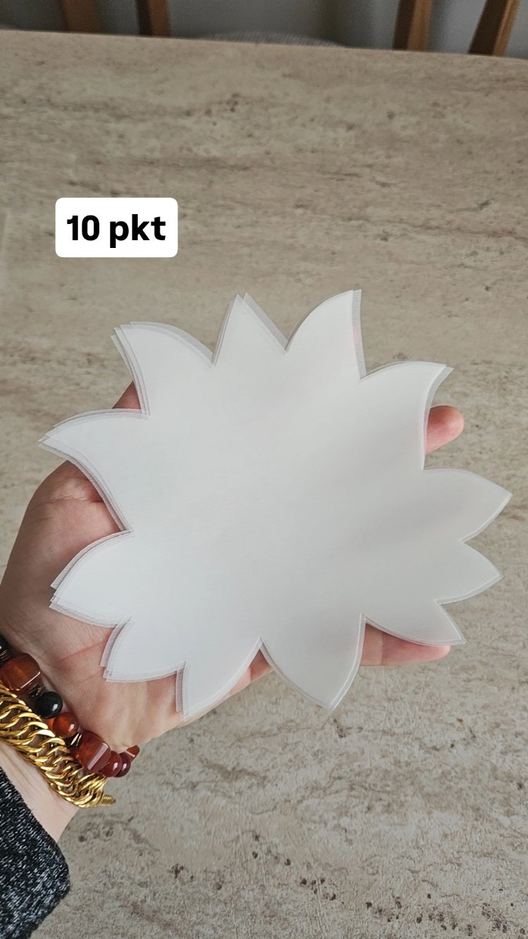 lotus model 