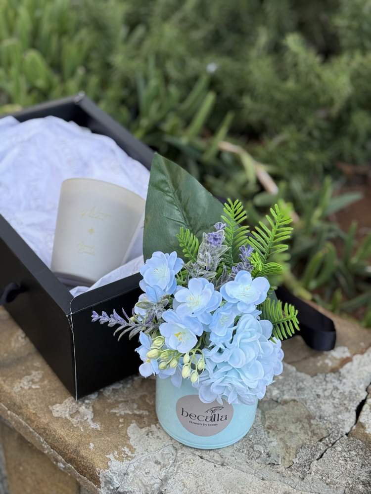 Becalla Noir Box