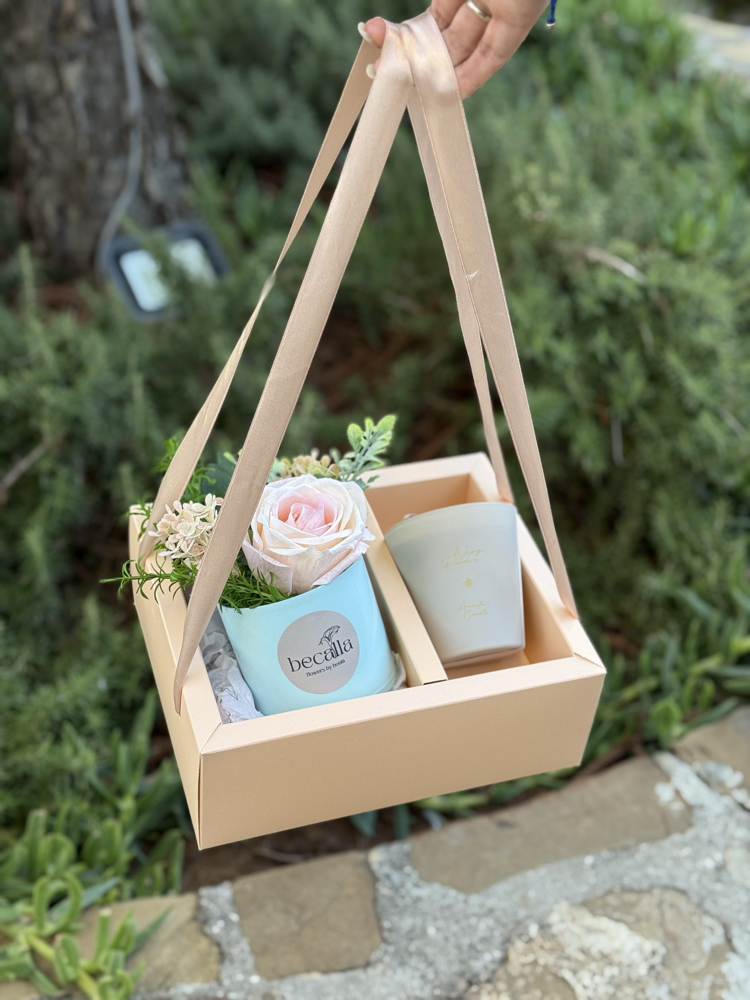Becalla Grace Box