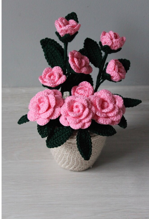 Pembe gül bahçesi