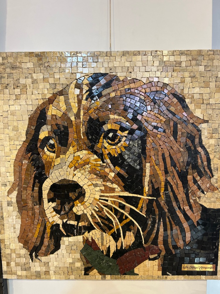 Köpek Portresi