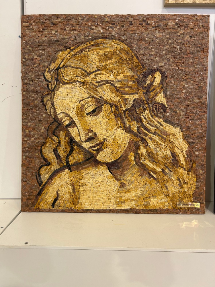 Venüs Tasviri (DaVinci)
