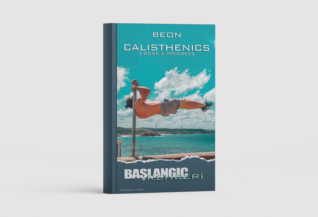 CALISTHENICS E-BOOK & PROGRESS