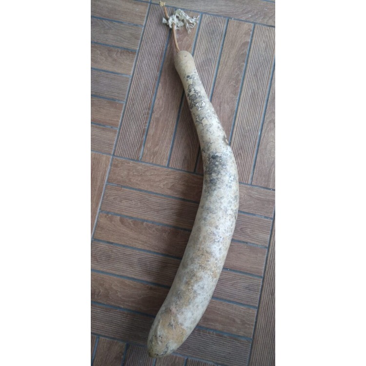 Karışık Su Kabağı Tohumu (10 adet) (Süs)