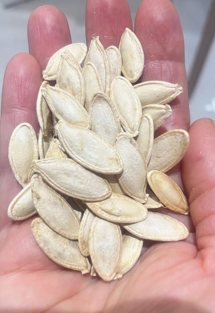 Çitlemelik Kabak Tohumu (8 adet)