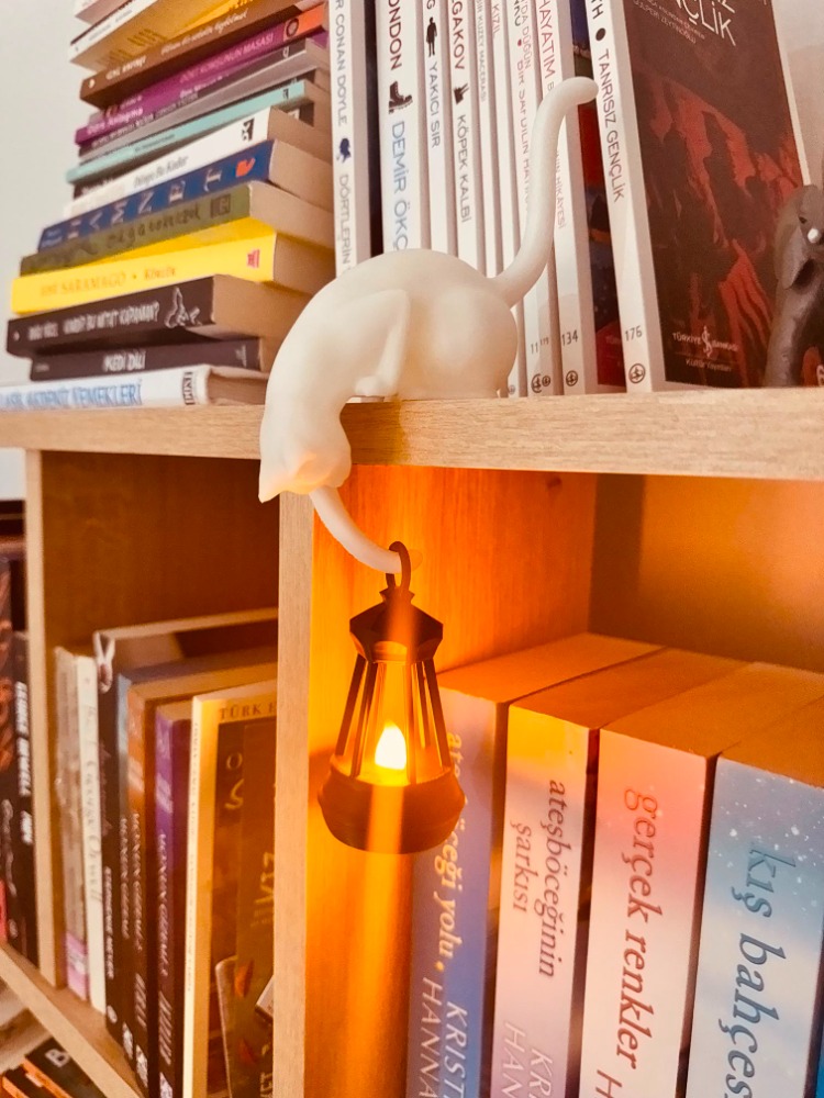 3D Işıklı Kedili Dekor