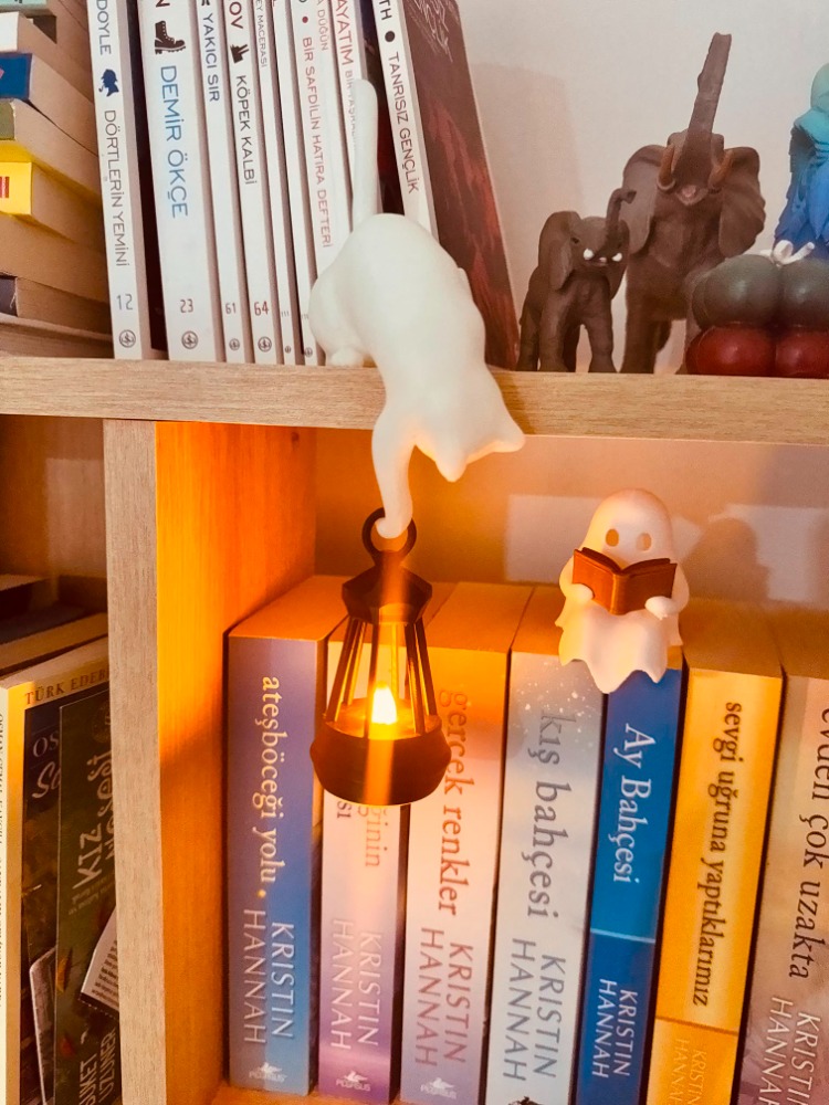 3D Işıklı Kedili Dekor