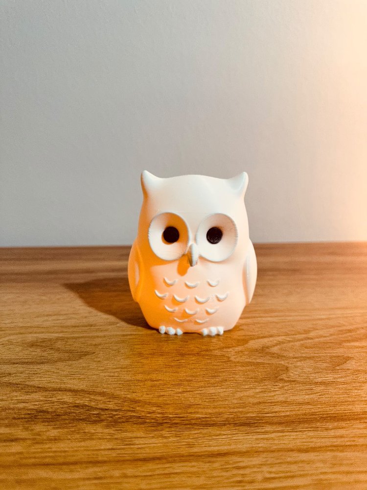 3D Işıklı Baykuş Figür