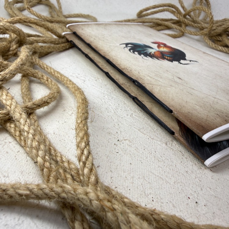 REGULAR INSERT DEFTER - TOMOE RIVER / HOROZ KOLEKSİYONU