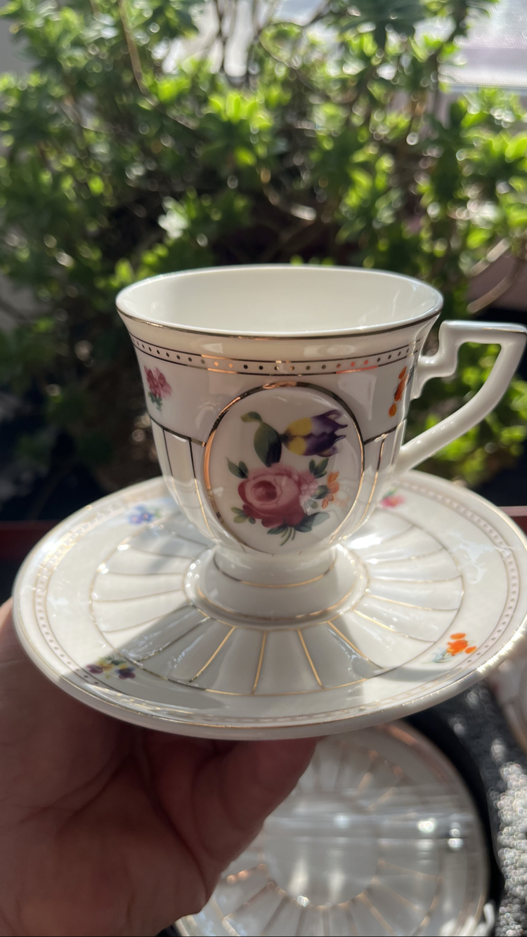 Rose fincan takımı