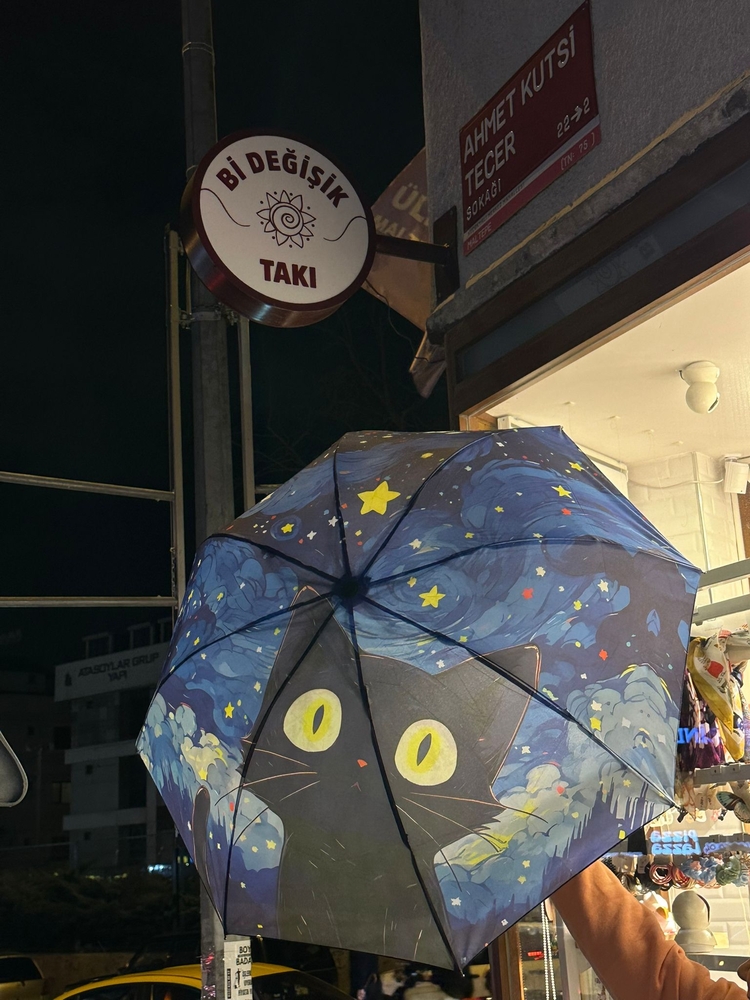 Yıldızlı Gece Kedi Şemsiye