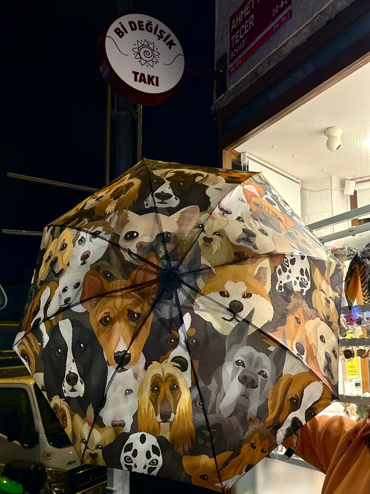Köpek Detaylı Şemsiye