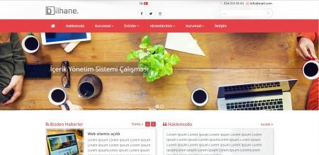 Kurumsal Firma Sitesi