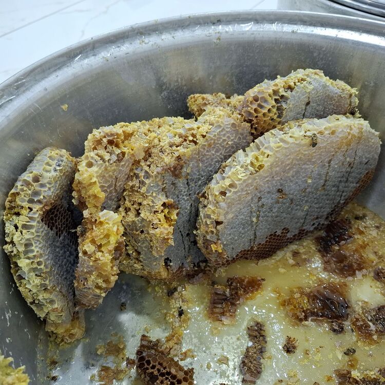 Ağaç balı net 1 kg.