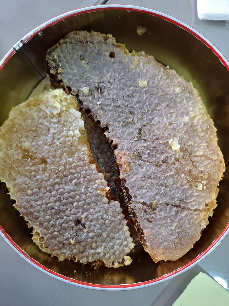 Ağaç balı net 1 kg.
