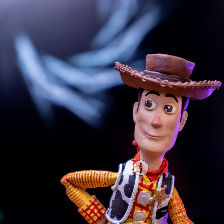 Toy Story / Woody