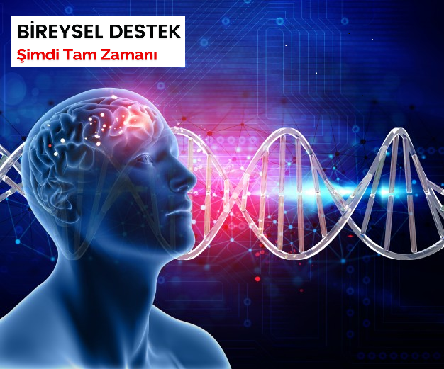 Thetahealing Danışmanlık Hizmeti ( Bireysel Çalışma )