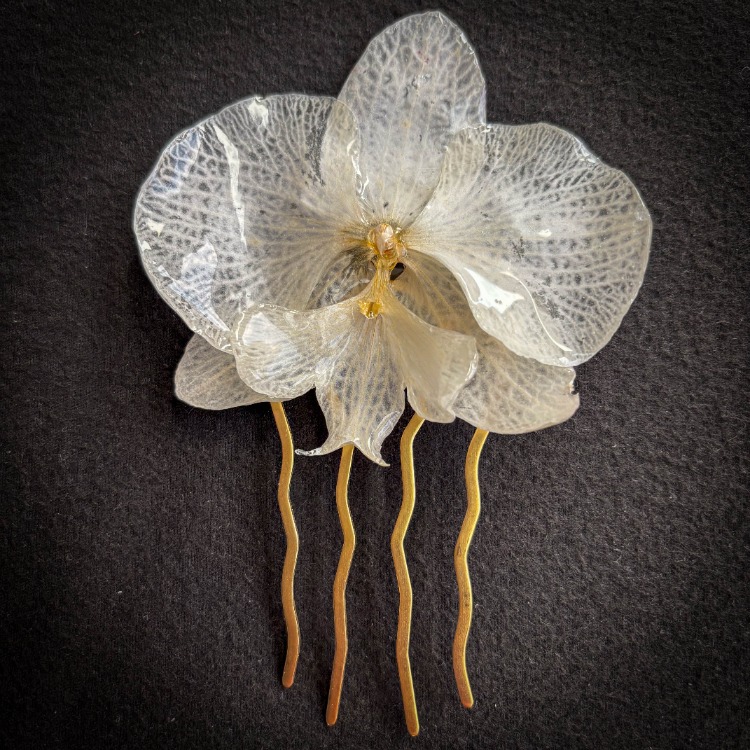 SPOSA
